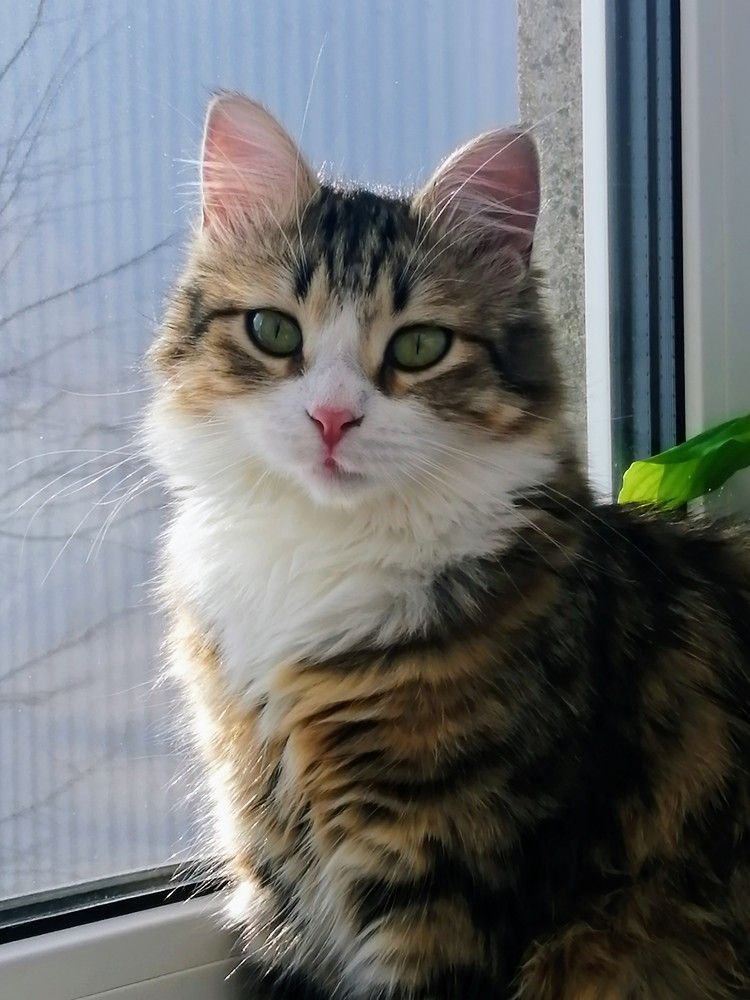 Photograph by Мария