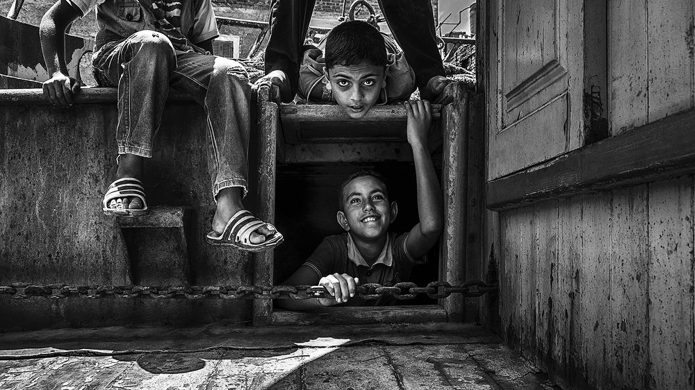 Photograph by  Shady