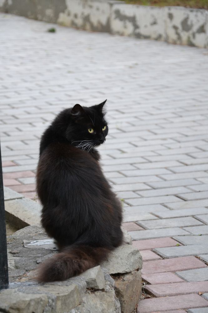 Photograph by Андрей Звездов