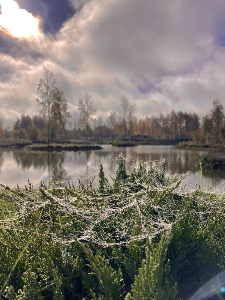 Photograph by Зоя Павкина