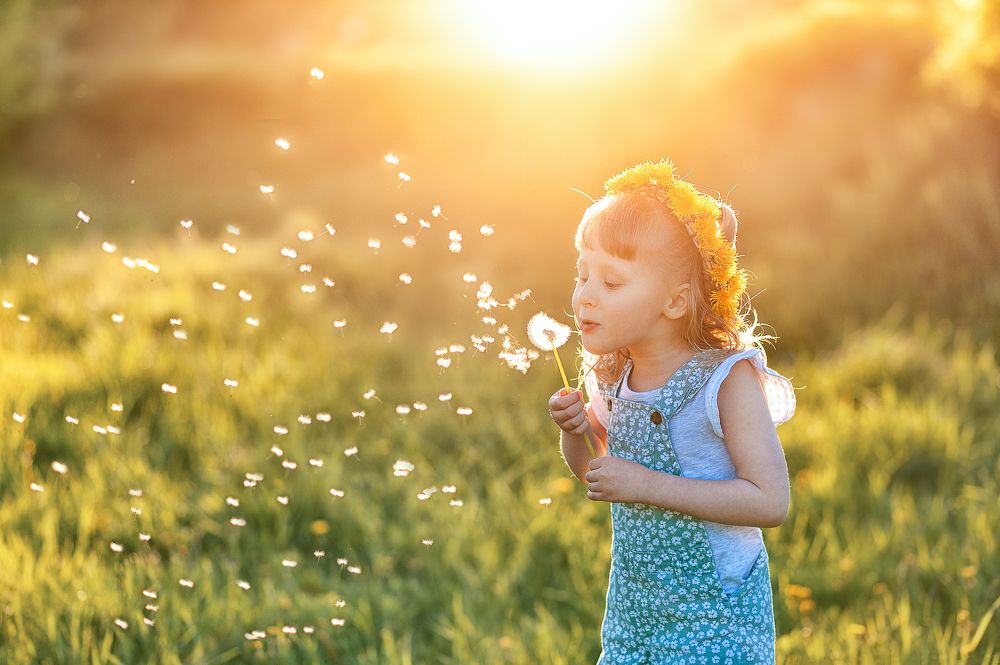 Фотография автора Елена Рогатнева