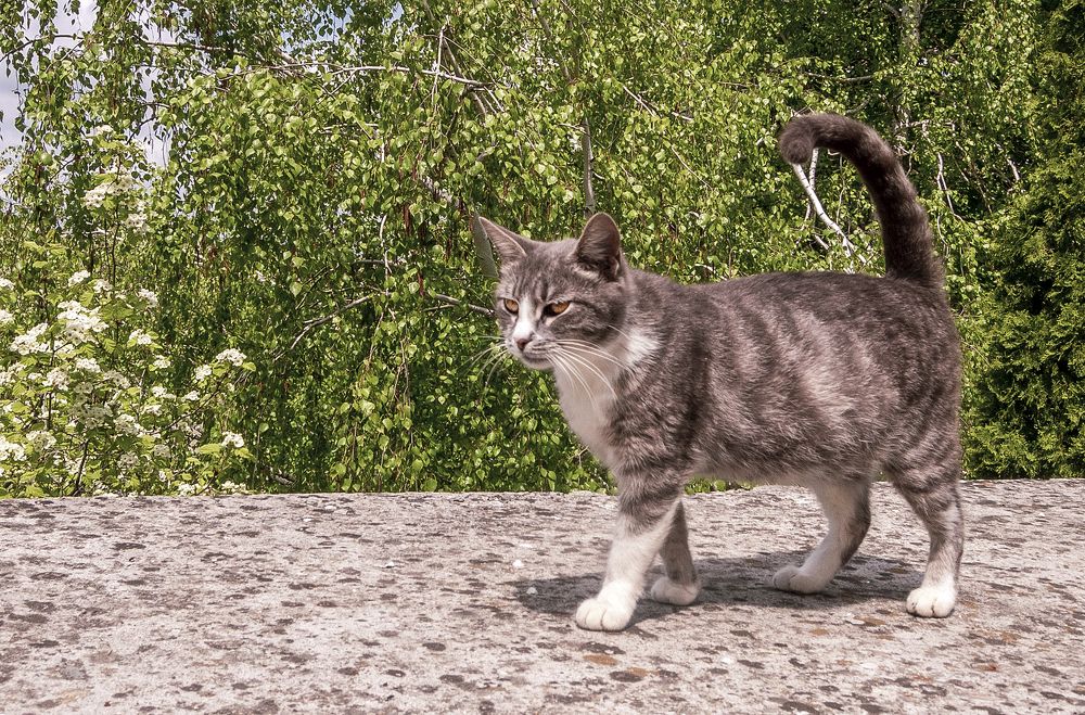 На подиуме...