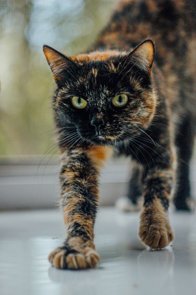 Photograph by Wrapper