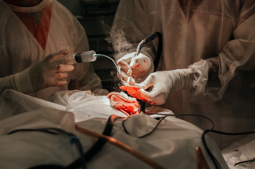 Photograph by Евгения