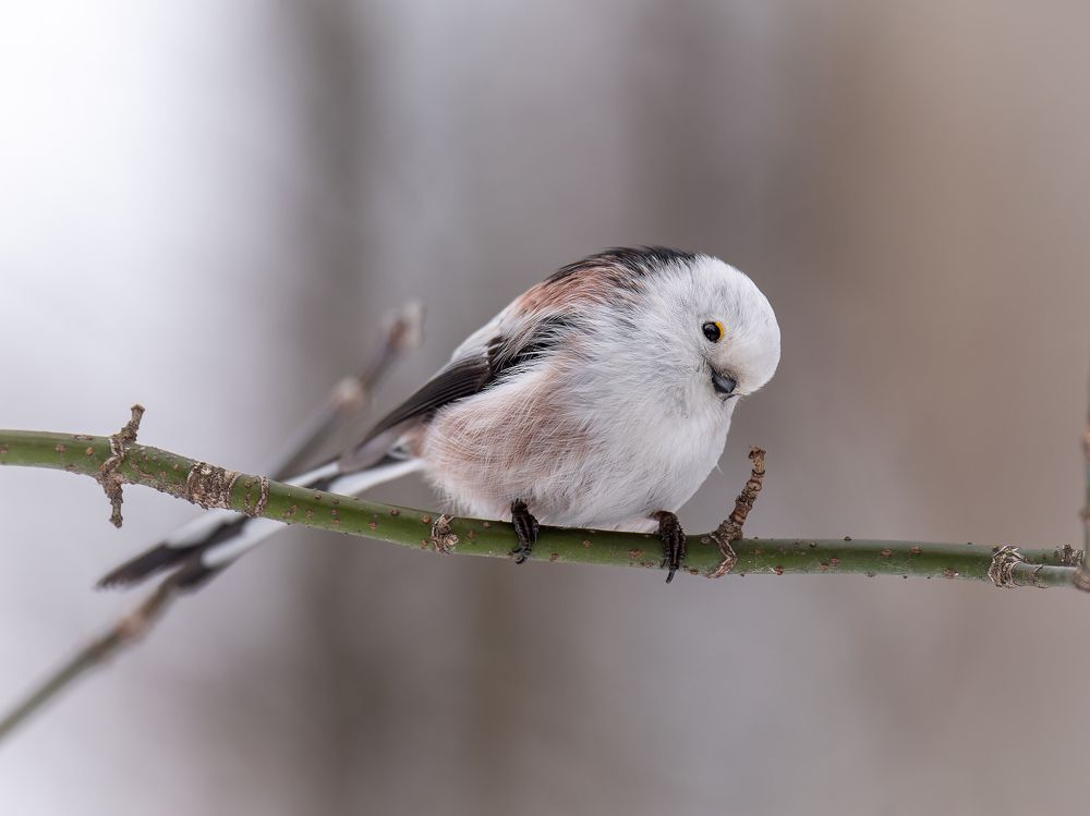 Photograph by Антон Науменко