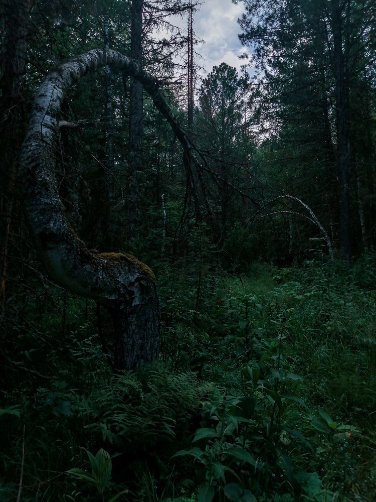 Photo #8887983