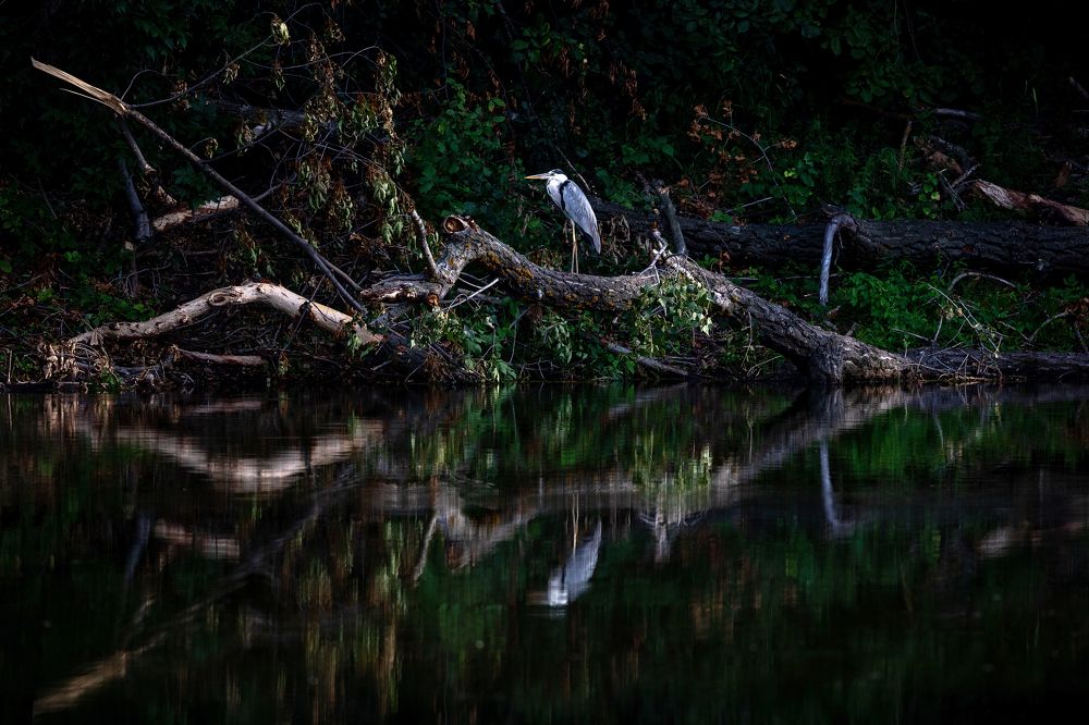 Photograph by Роман Наумов