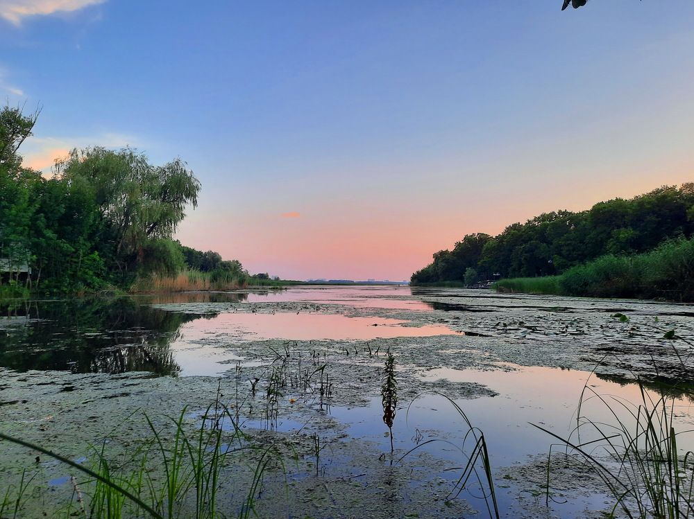 Photograph by Светлана Боровая