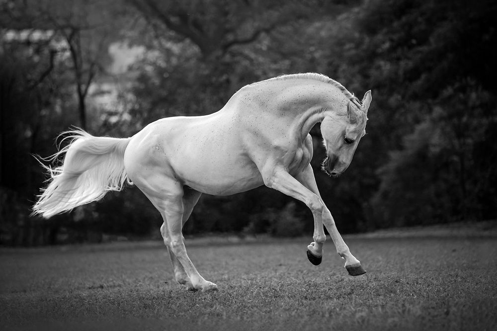 Фотография автора Camilla R Cintra