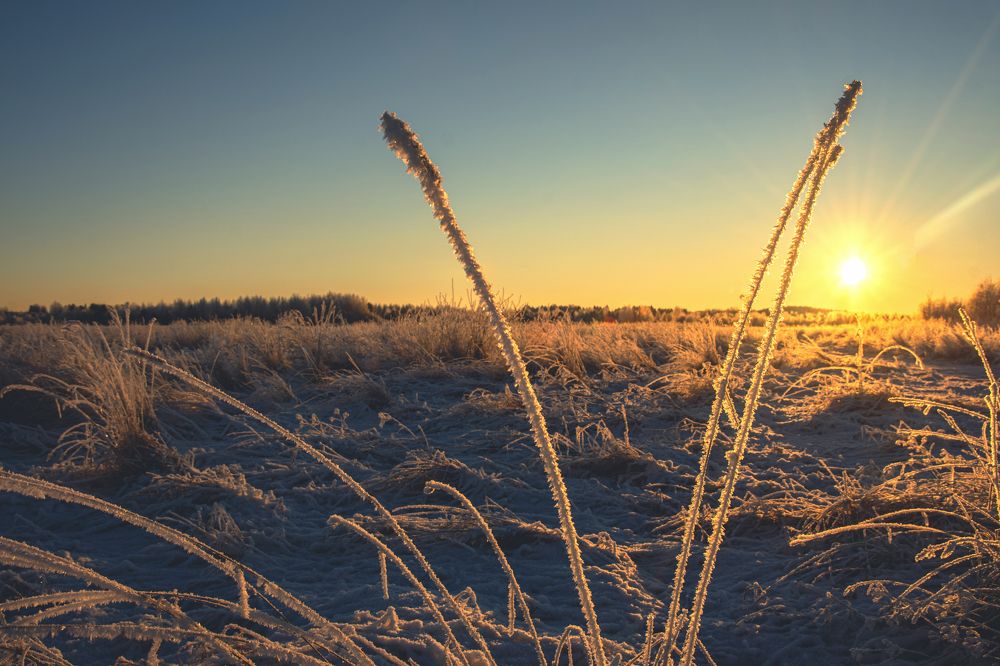 Photograph by Максим