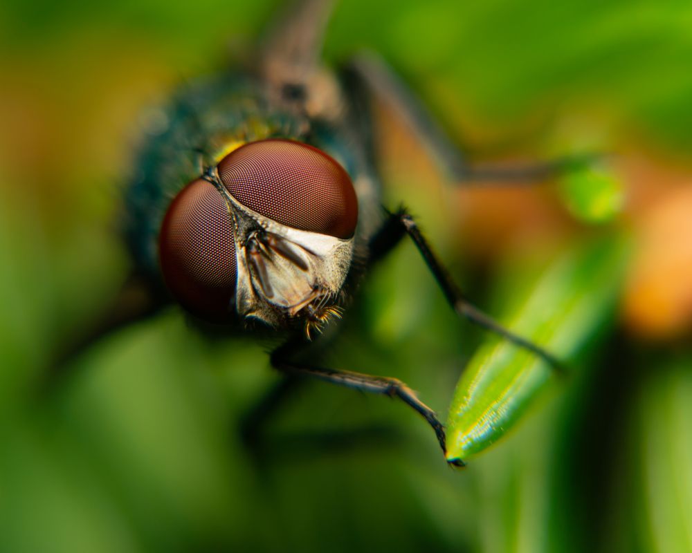 Photograph by Денис Дроздов