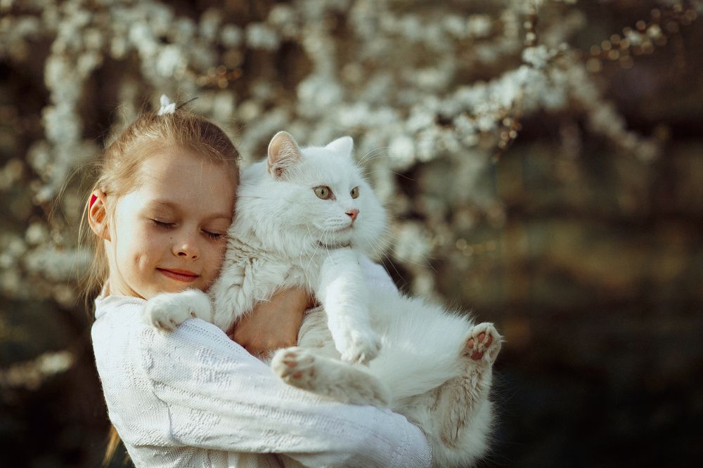 Photograph by Анна Рыжковская