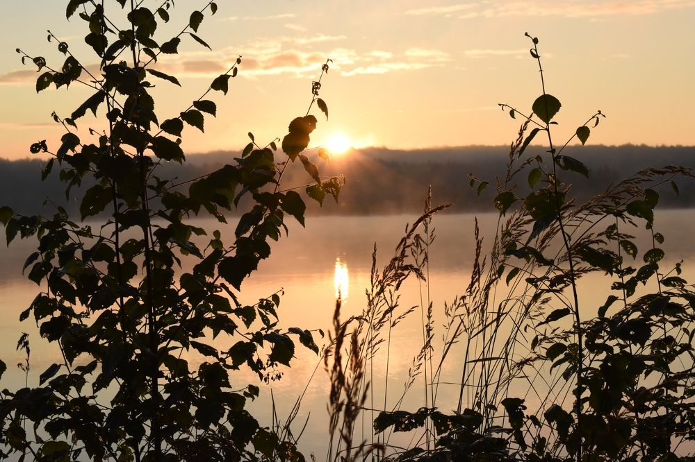 Photograph by Зоя