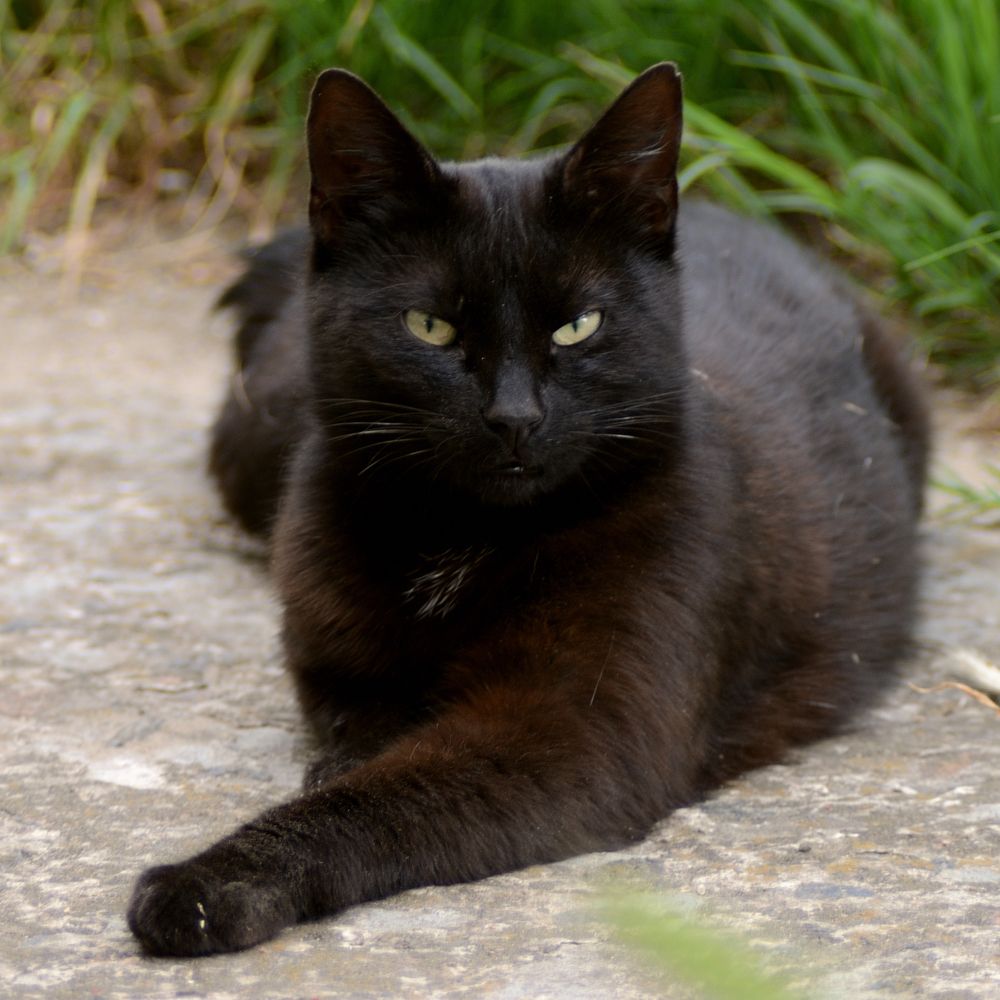 Фотография автора Aleksei Batiukov