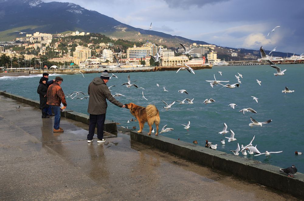 Photograph by Виктор Смирнов