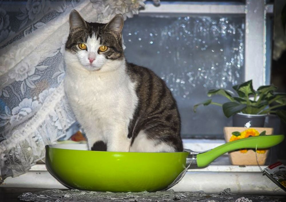 Фотография автора Ксения Смирнова