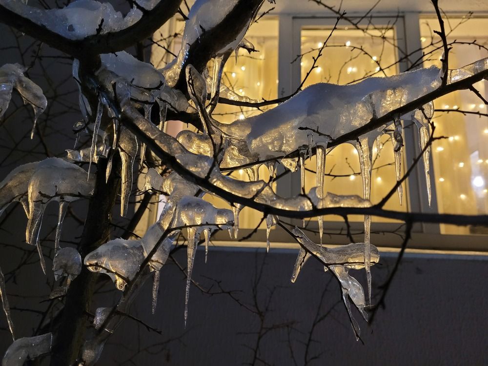 В ожидании Нового года