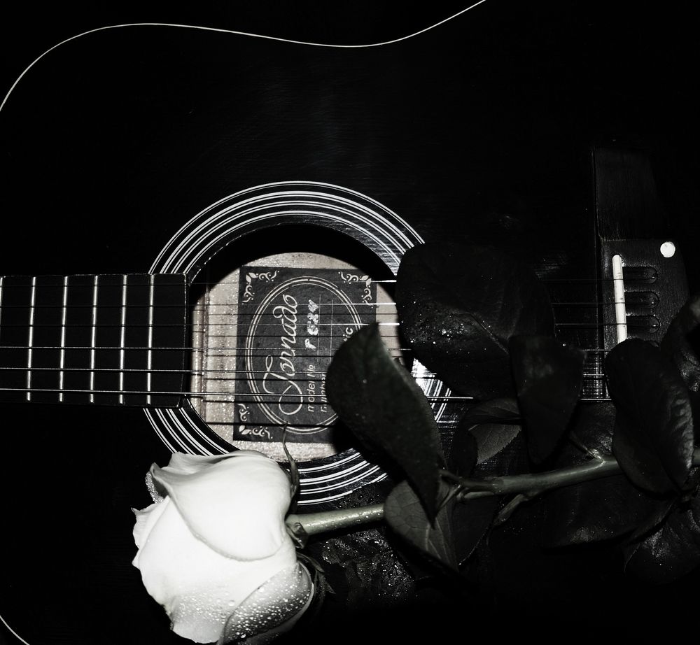 Фотография автора Андрей Павловский