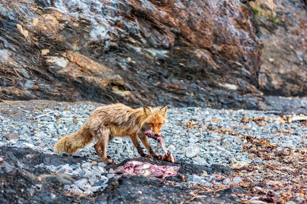 Photograph by Дмитрий Слепов