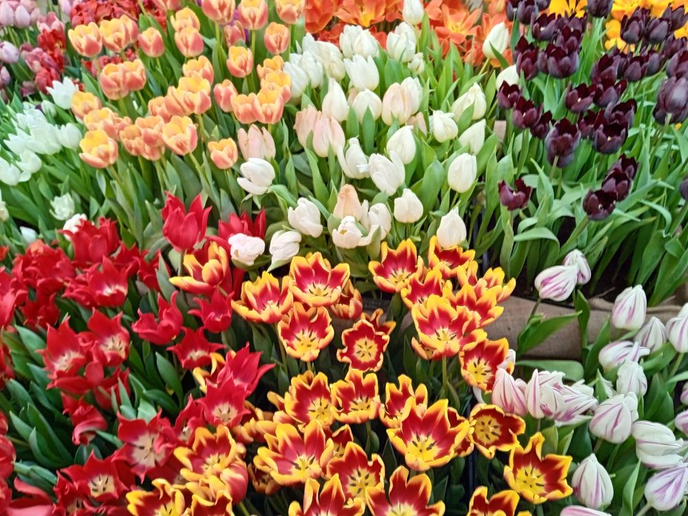 Photograph by Алия Хафизова