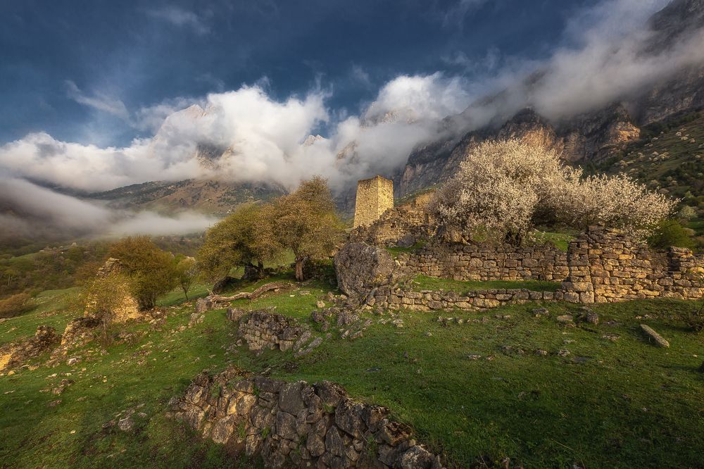 Весна в Ингушетии.