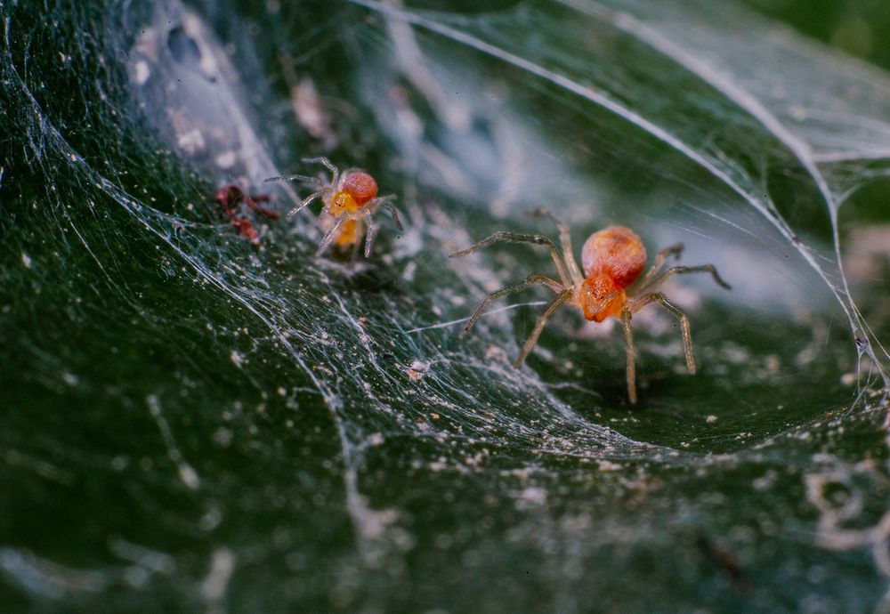 Photograph by Laddu Sasindu Pramuditha De Silva
