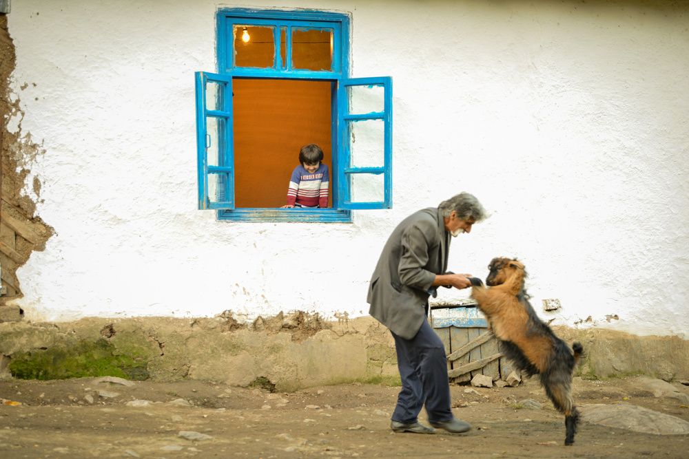 Photograph by İlham Mustafayev