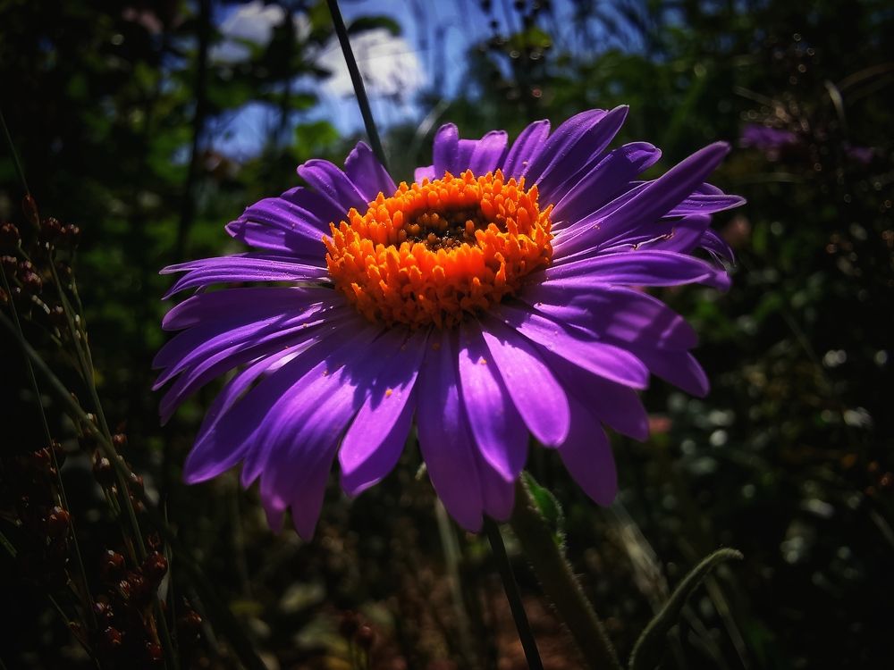 Photograph by Колоскова Мария