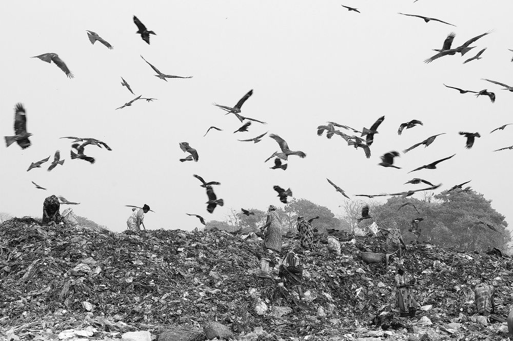 Photograph by Harun-ar-rashid G,APS