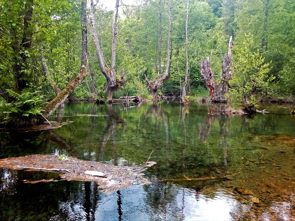 Photo #8888620
