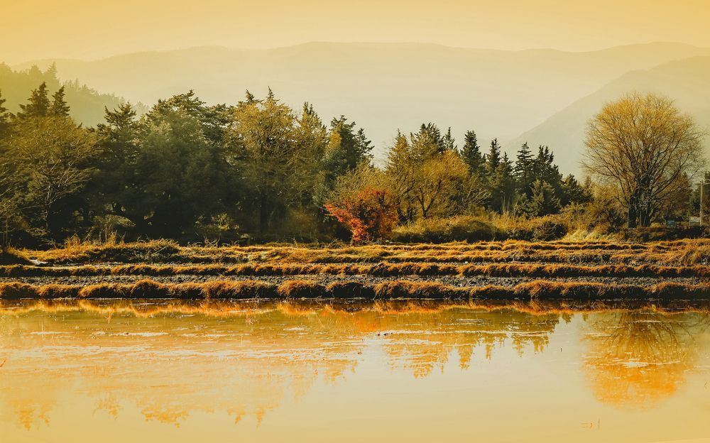 Photograph by Javad zavvar