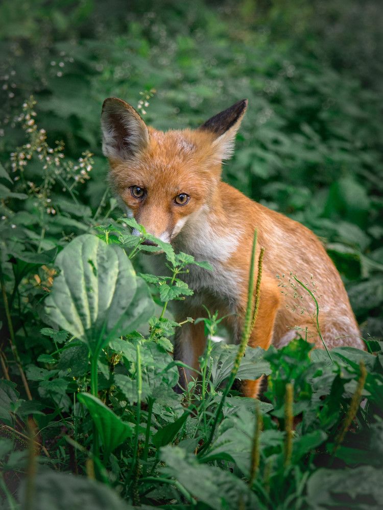 Photograph by Наталья Брюхненко