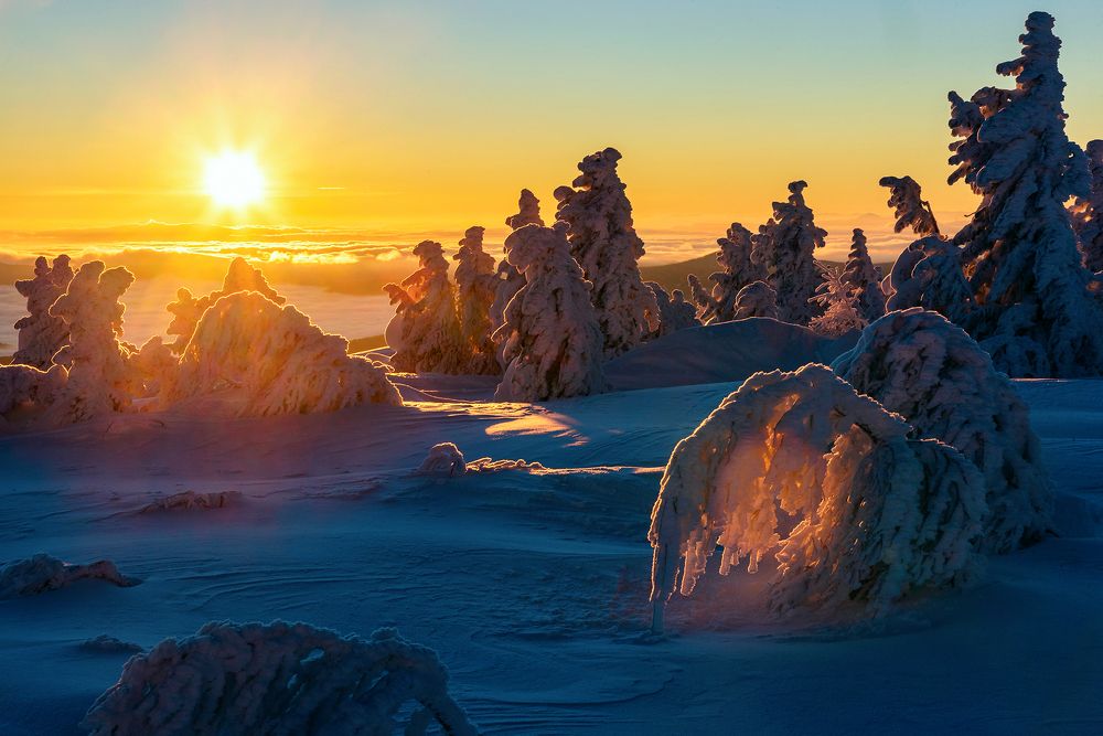 Photograph by Пешков Валерий