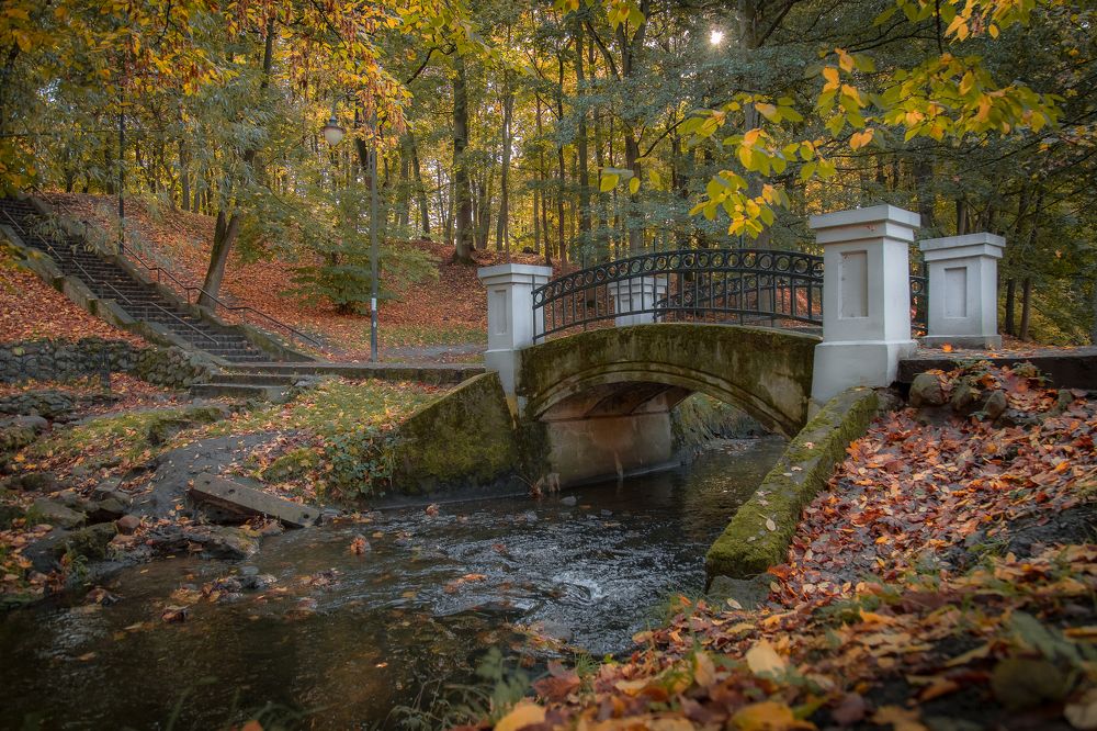 Photograph by Наталья Брюхненко