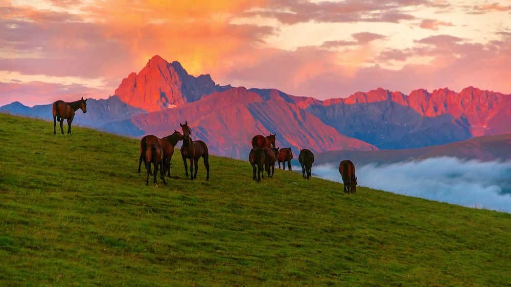 Photograph by Пешков Валерий