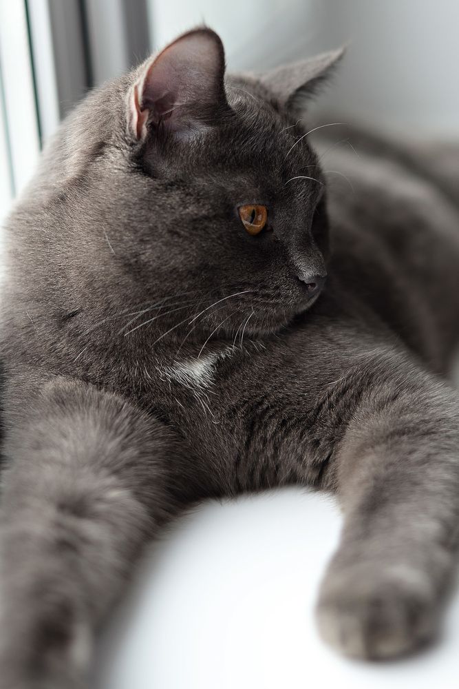 Photograph by Светлана Белова