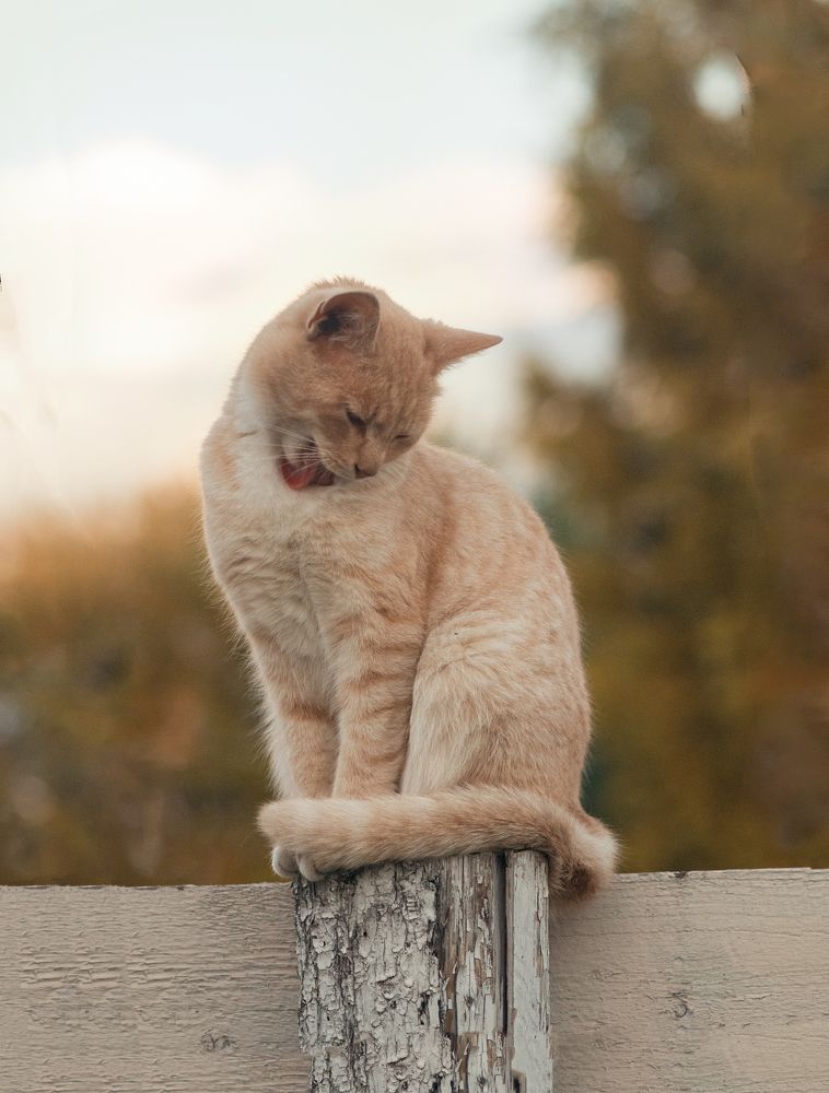 Photograph by Екатерина Савостикова