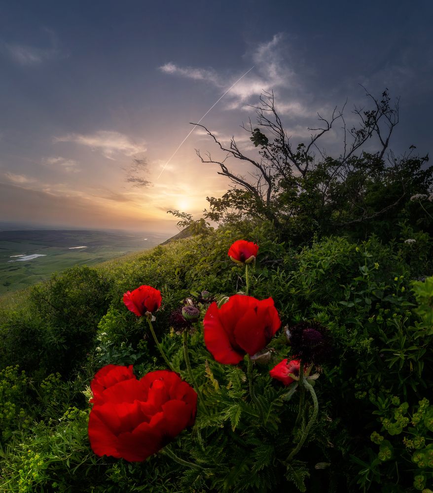 Photograph by Светлана Иванова