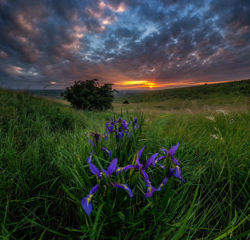 Photograph by Светлана Иванова