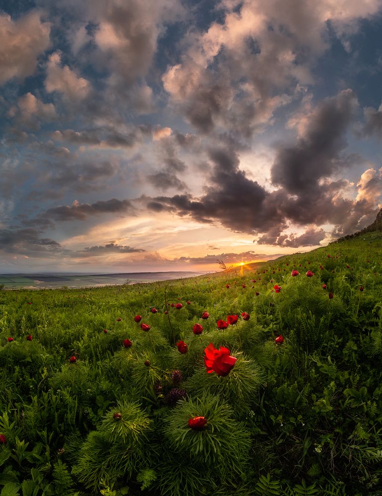 Photograph by Светлана Иванова