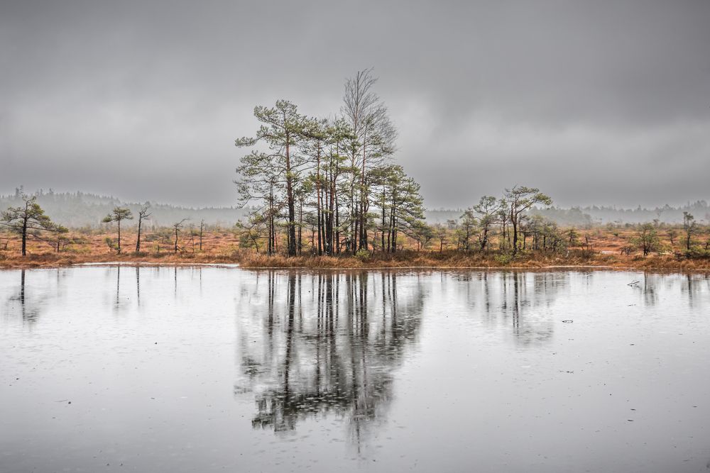 Photograph by Žaneta Bytautiene