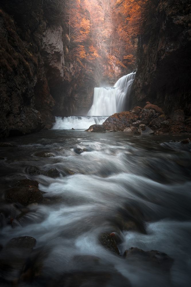 Фотография автора javier