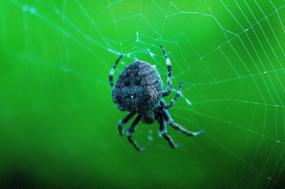 Photograph by Дмитрий Слепов