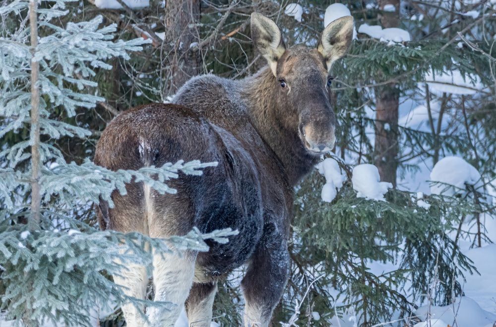 Photograph by Сергей