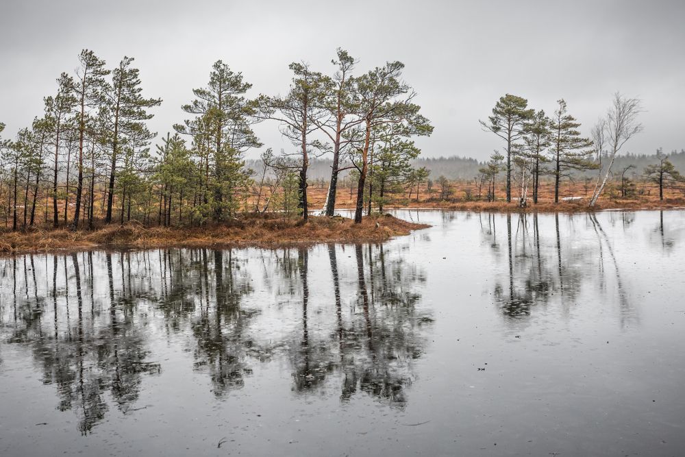 Photograph by Žaneta Bytautiene