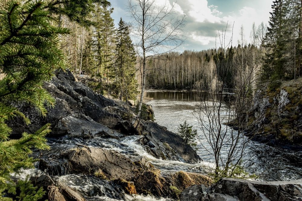 Photograph by Ольга Семина