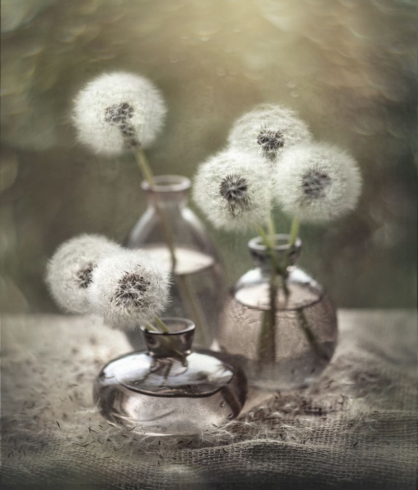 Photograph by Ольга Найденова