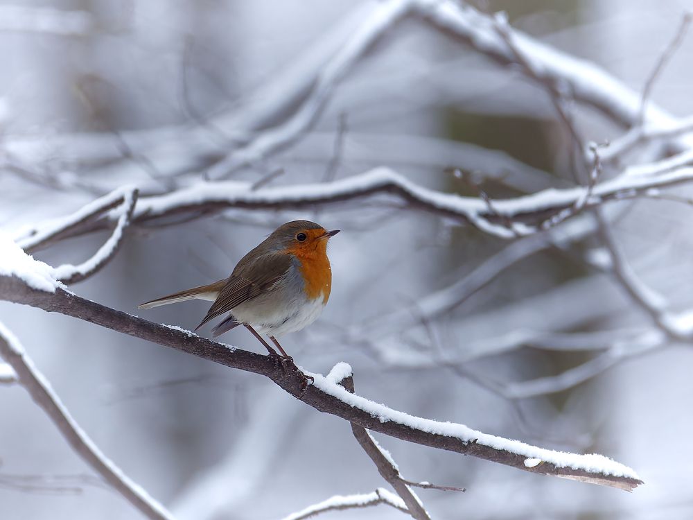 Photograph by Вера Машина