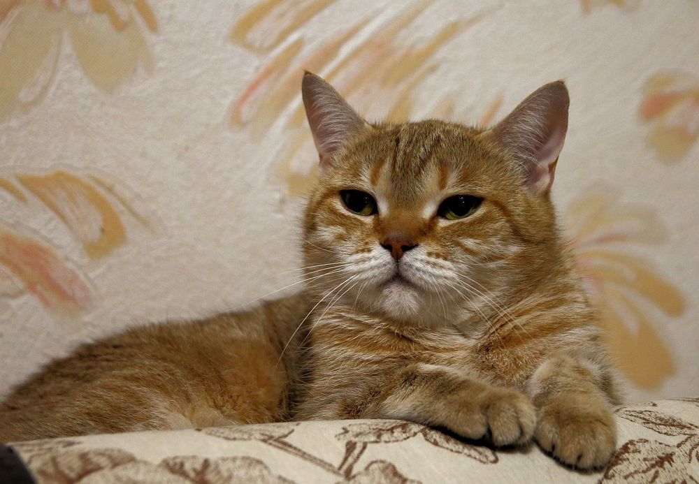 Photograph by Юрий Варюхин