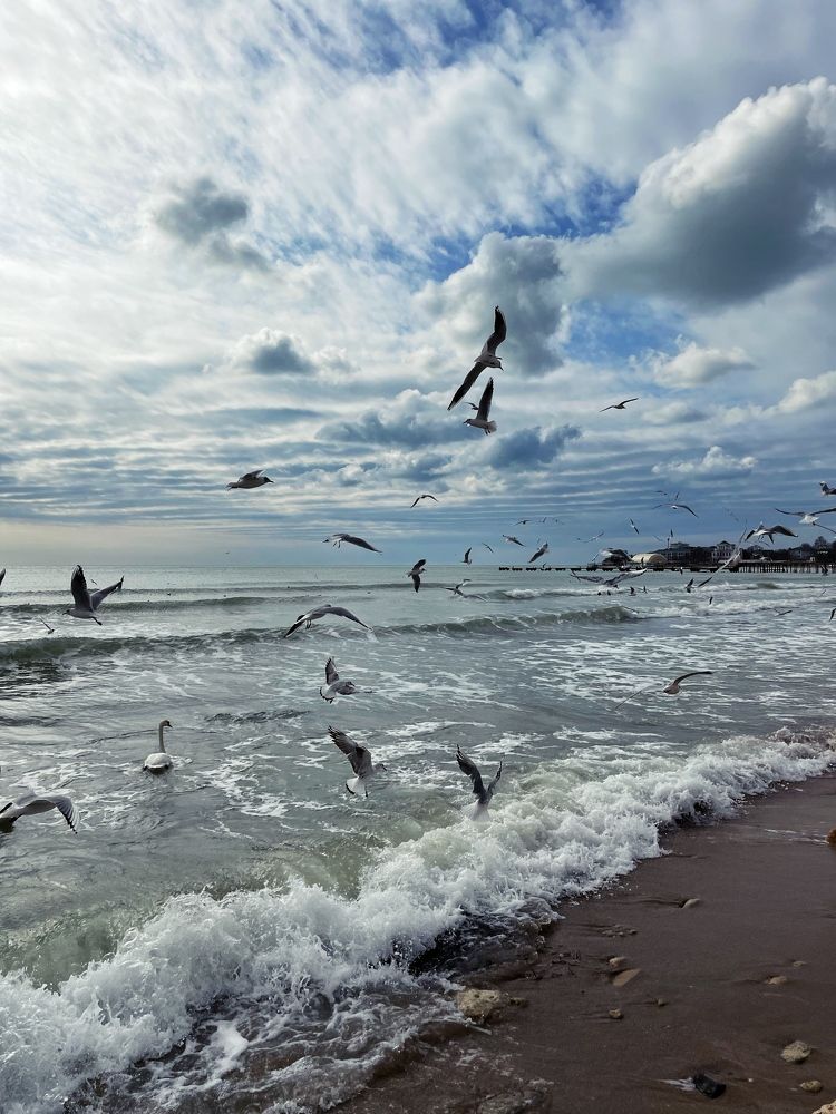Photograph by Дарья Оппельд
